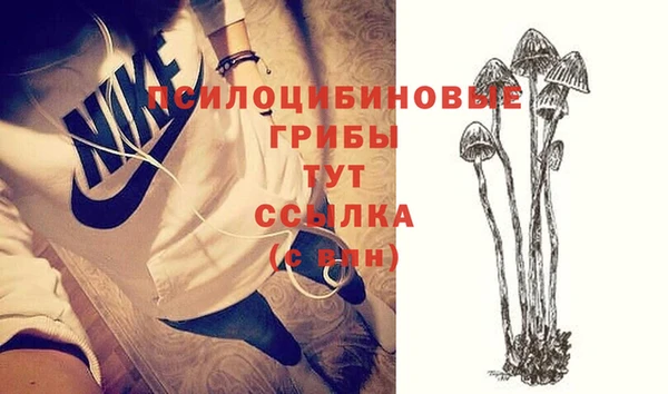 метадон Болохово
