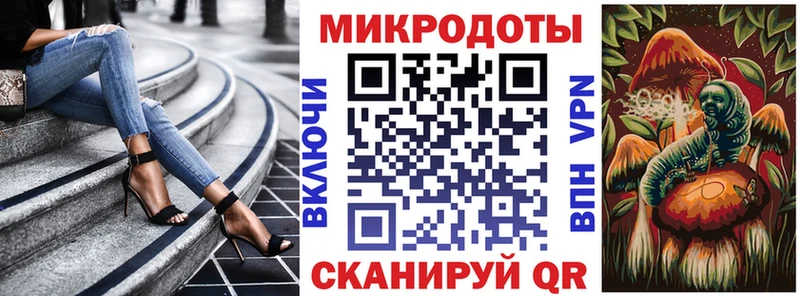 Галлюциногенные грибы Psilocybine cubensis Коркино