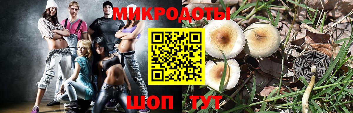 где можно купить   Вход с VPN  Псилоцибиновые грибы прущие грибы  Коркино  Псилоцибиновые грибы мухоморы 