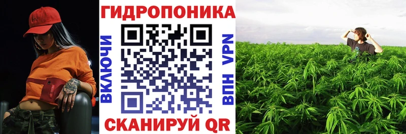 Бошки Шишки White Widow  Коркино 